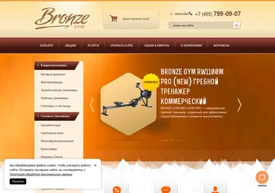 Снимок главной страницы bronze-gym.ru