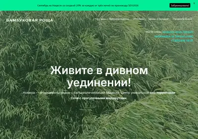 Снимок главной страницы bamboogrove.ru