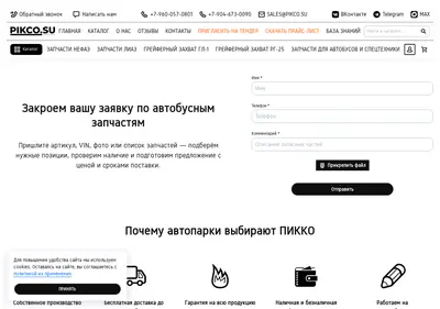 Снимок главной страницы pikco.su