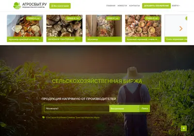 Снимок главной страницы agrosbit.ru