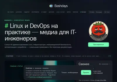 Снимок главной страницы bashdays.ru