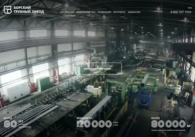 Снимок главной страницы bortrub.ru
