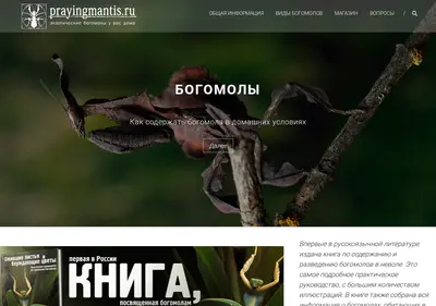 Снимок главной страницы prayingmantis.ru
