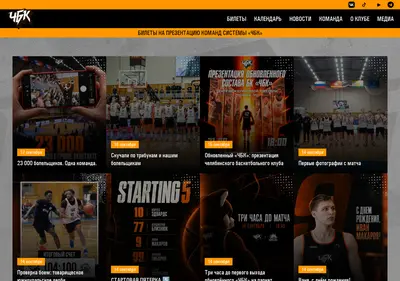 Снимок главной страницы chelbasket.ru