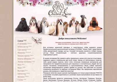 Снимок главной страницы chesvet-line.ru