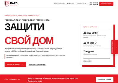 Снимок главной страницы bars59.ru