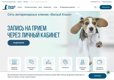 Снимок главной страницы bkvet.ru