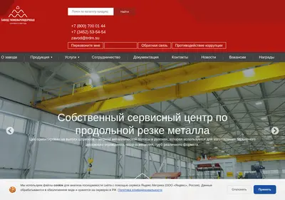 Снимок главной страницы trdm.su