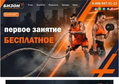 Снимок главной страницы bizon-sport.ru