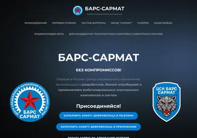 Снимок главной страницы bars-sarmat.ru