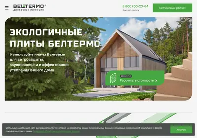 Снимок главной страницы beltermo.ru