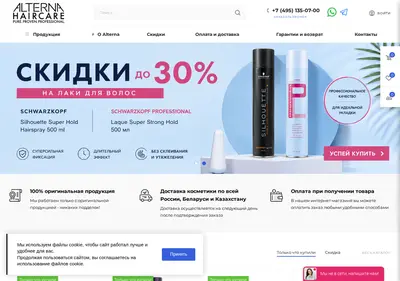 Снимок главной страницы alterna-store.ru