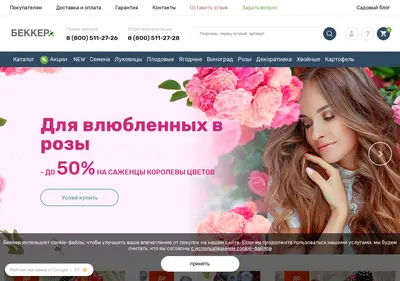Снимок главной страницы abekker.ru
