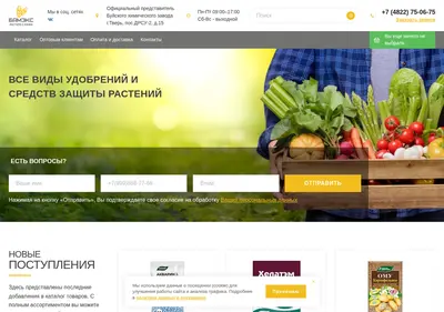 Снимок главной страницы bameks.ru