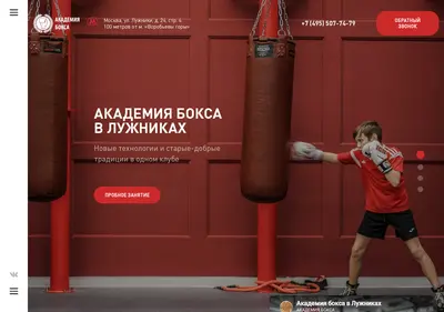 Снимок главной страницы boxing-gym.ru