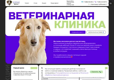 Снимок главной страницы borzayavet.ru