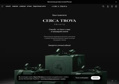 Снимок главной страницы cerca-trova.ru