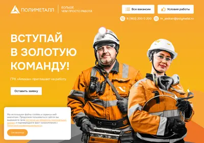 Снимок главной страницы amikan-rabota.ru