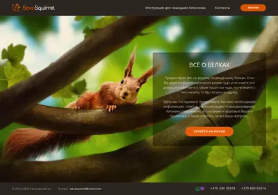 Снимок главной страницы babybelka.ru