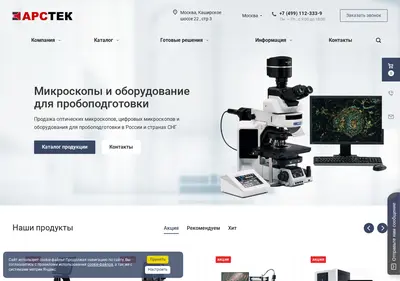 Снимок главной страницы arstek.ru