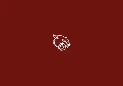 Снимок главной страницы bars-fight.ru