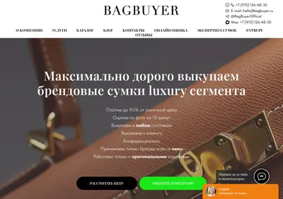 Снимок главной страницы bagbuyer.ru