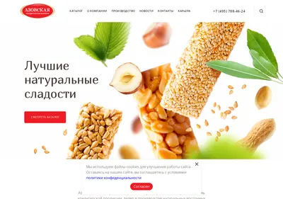 Снимок главной страницы azovkf.ru