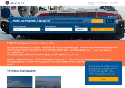 Снимок главной страницы amurasso-port.ru