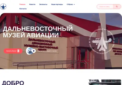 Снимок главной страницы dvmuseum.ru