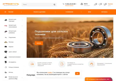 Снимок главной страницы agrodetal74.ru