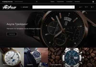 Снимок главной страницы akula-trading.ru