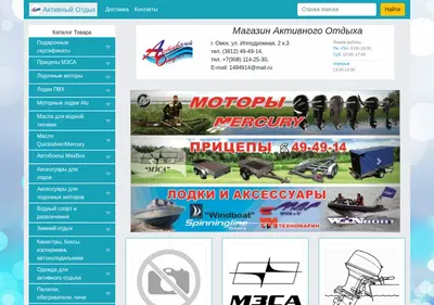 Снимок главной страницы bizon55.ru