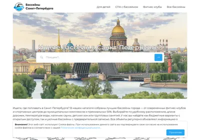 Снимок главной страницы basseyn-spb.ru