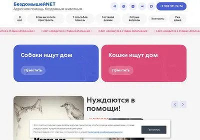 Снимок главной страницы bezdomysheynet.ru