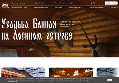 Снимок главной страницы banya-vip.ru