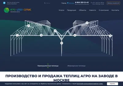 Снимок главной страницы agroitalservice.ru