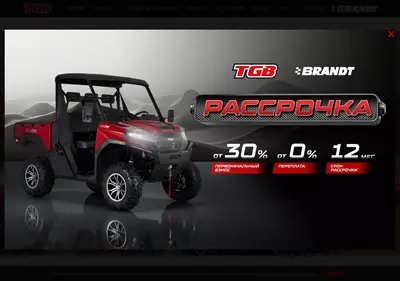 Снимок главной страницы brandttgb.ru