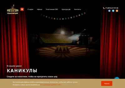 Снимок главной страницы circus-ryazan.ru