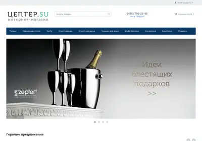 Снимок главной страницы цептер.su