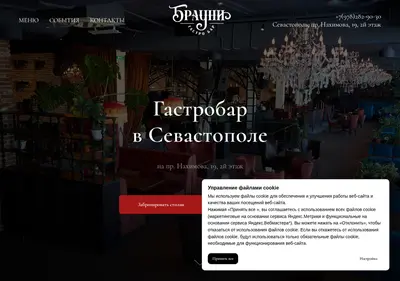 Снимок главной страницы braunisev.ru