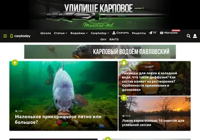 Снимок главной страницы carptoday.ru