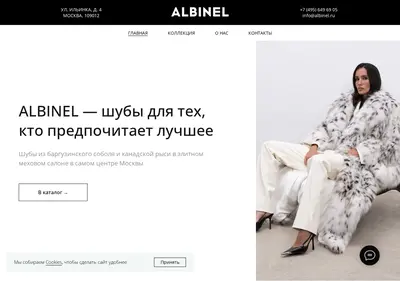 Снимок главной страницы albinel.ru