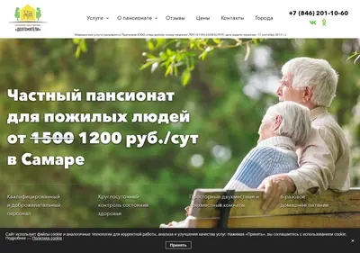 Снимок главной страницы dpansion.su