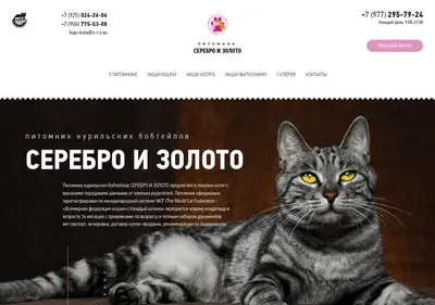 Снимок главной страницы s-i-z.su