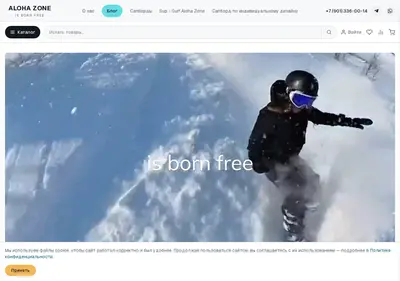 Снимок главной страницы alohazone.ru