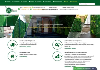Снимок главной страницы bamboocapital.ru
