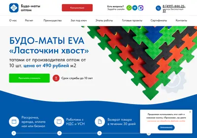 Снимок главной страницы budo-optom.ru