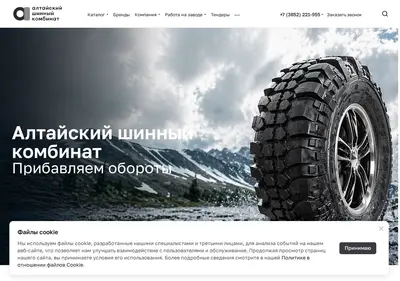 Снимок главной страницы ashk.ru