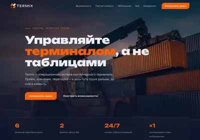 Снимок главной страницы termix.su