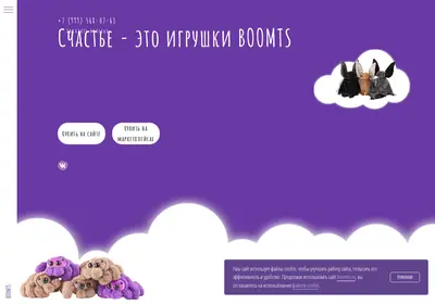 Снимок главной страницы boomts.ru